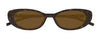#colour_havana-brown