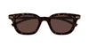#colour_havana-brown