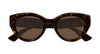 #colour_havana-brown
