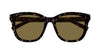 #colour_havana-brown