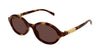 Gucci GG2153S #colour_havana-brown