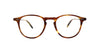 #colour_chestnut