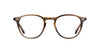 #colour_khaki-tortoise