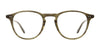 #colour_olive-tortoise