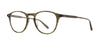 #colour_olive-tortoise