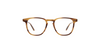 #colour_bio-blonde-tortoise