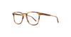 #colour_bio-blonde-tortoise