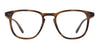 #colour_spotted-brown-shell