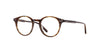 #colour_brandy-tortoise