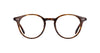 #colour_brandy-tortoise
