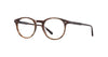 #colour_brandy-tortoise