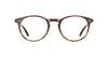#colour_brandy-tortoise