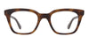 #colour_spotted-brown-shell