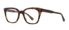 #colour_spotted-brown-shell
