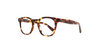 #colour_tuscan-tortoise