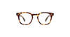 #colour_tuscan-tortoise