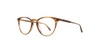 #colour_bio-blonde-tortoise