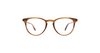 #colour_bio-blonde-tortoise