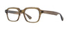 #colour_olive-tortoise