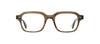 #colour_olive-tortoise
