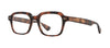 #colour_spotted-brown-shell