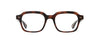 #colour_spotted-brown-shell