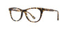 #colour_tuscan-tortoise