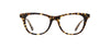 #colour_tuscan-tortoise