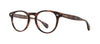 #colour_spotted-brown-shell