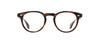 #colour_spotted-brown-shell