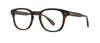 #colour_spotted-brown-shell