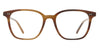 #colour_cedar-tortoise