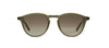 #colour_bio-deep-olive-bio-terra