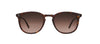 #colour_bio-cookie-tortoise-bio-eclipse