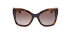 #colour_dark-havana-brown-gradient