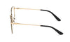 #colour_shiny-pale-gold-black