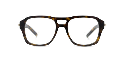 #colour_shiny-havana