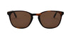 #colour_tortoise-brown