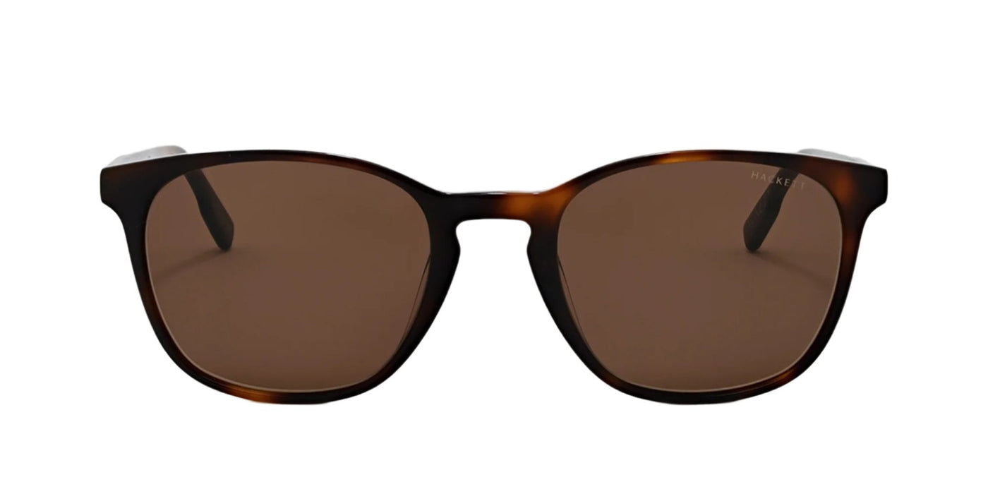 #colour_tortoise-brown