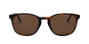 #colour_tortoise-brown