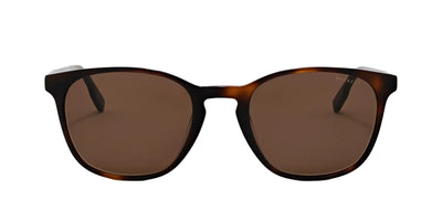 #colour_tortoise-brown