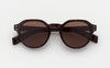 #colour_tortoise-brown