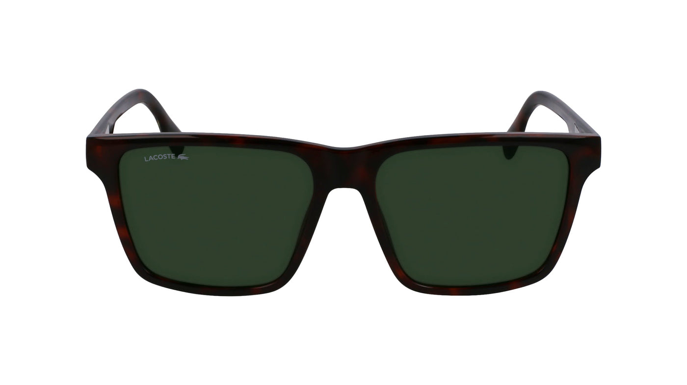 Lacoste L6039S Havana/Green #colour_havana-green