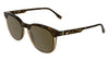 #colour_havana-transparent-caramel-brown