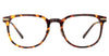 #colour_dark-tortoise-shell-light-gold