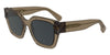 #colour_transparent-brown-textured-brown-grey