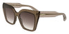 #colour_transparent-nude-brown