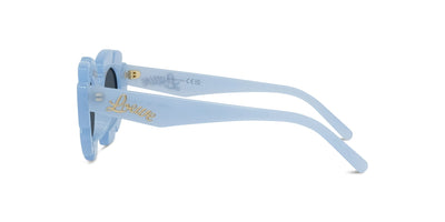 #colour_shiny-blue-blue