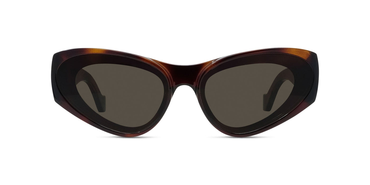 #colour_shiny-havana-brown