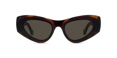 #colour_shiny-havana-brown